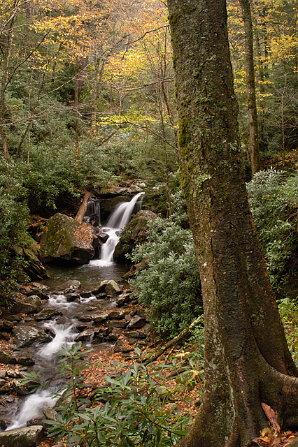 Grotto Falls, Great Smoky Mountains National Park, Tennessee