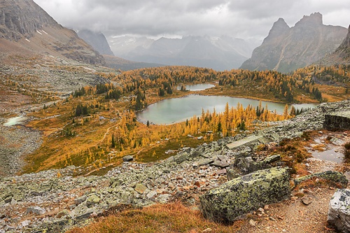 Hungabee and Cascade Lakes from the West Opabin Trail, Opabin Plateau, Yoho National Park, British Columbia