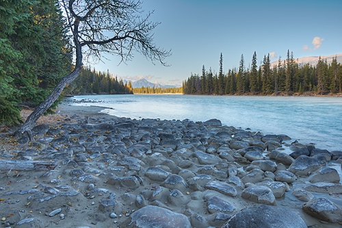 Meeting of the Waters, Athabasca River, Jasper National Park, Alberta
