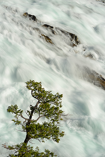 Bow Falls, Banff National Park, Alberta