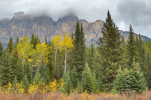 Castle Mountain from the Bow Valley Parkway, Banff National Park, Alberta