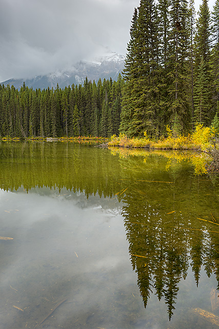 Pilot Pond, Banff National Park, Alberta