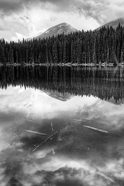 Pilot Pond Black & White, Banff National Park, Alberta