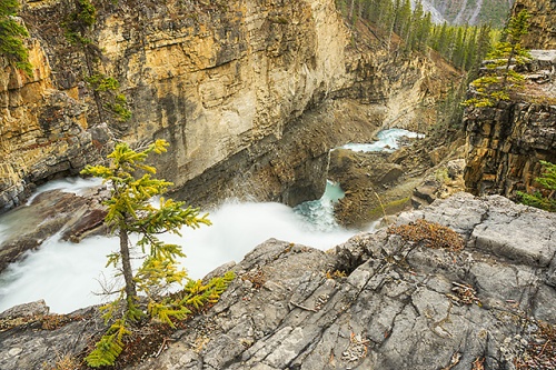 Nigel Falls, Banff National Park, Alberta