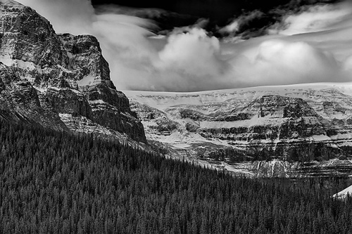 Studfield Glacier Overlook Black & White, Jasper National Park, Alberta