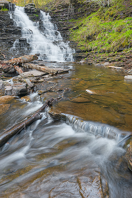 FL Ricketts Falls, Ricketts Glen State Park, Pennsylvania