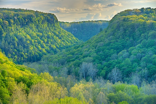 Genesee River Ridges from Tea Table Overlook, Letchworth State Park, New York