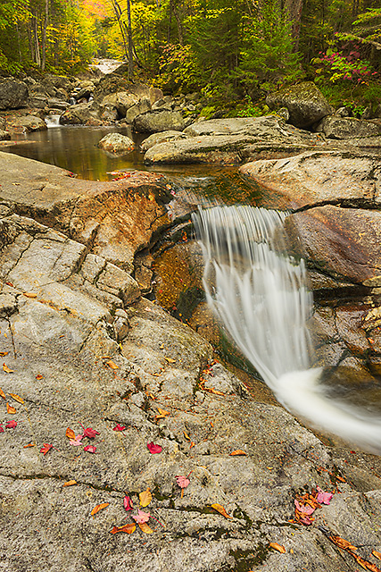 Dry Brook, Falling Waters Trail, Franconia State Park, New Hampshire