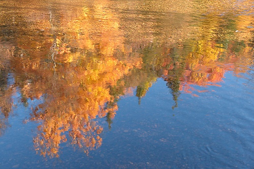 Reflections, Douglas Brook, Bear Notch Road, White Mountain National Forest, New Hampshire
