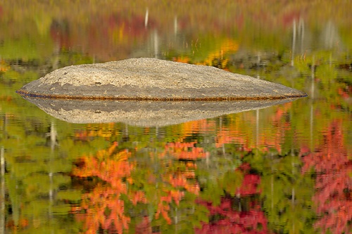 Lily Pond Reflections, Kancamagus Highway, White Mountain National Forest, New Hampshire