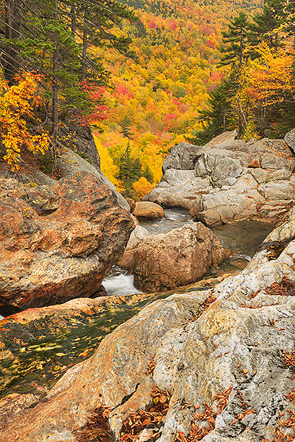 Ellis River, Pinkham Notch, White Mountain National Forest, New Hampshire