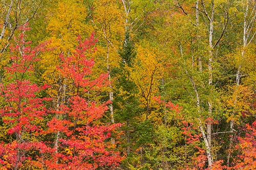 Hancock Overlook, Kancamagus Highway, White Mountain National Forest, New Hampshire