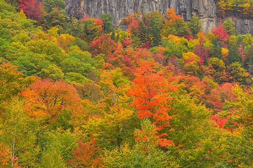 Autumn Color, Crawford Notch State Park, New Hampshire